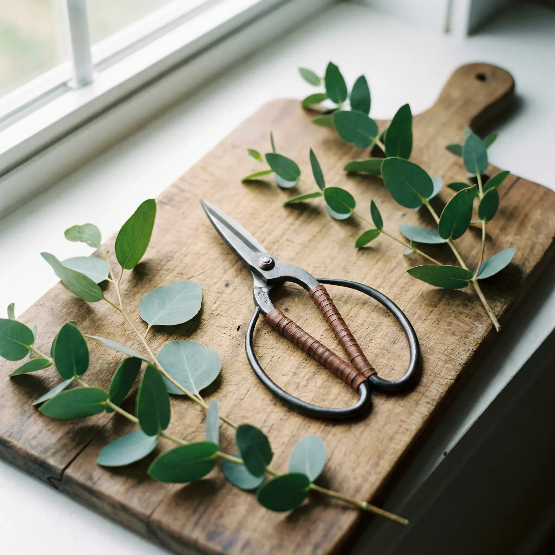 日式花艺剪刀 - 探花网